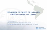 Programa de Campo de la FAO en América Latina y el Caribe