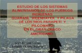 Presentación de Freddy Chavez (Bolivia) - Seminario Internacional Pueblos Indígenas