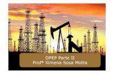 Países de la OPEP II parte