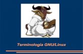 Terminología GNU/Linux