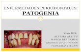 Patogenia Periodontitis y Gingivitis
