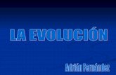 Evolucion 2010 - 2