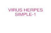 Herpes simple (1)