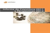 Informe de amec, coyuntura 2011 y perspectivas 2012