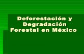 DEFORESTACIÓN Y DEGRADACIÓN FORESTAL EN MÉXICO