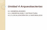 Unidad 4 arqueobacterias
