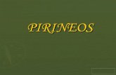 PIRINEUS 3