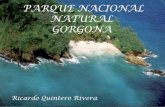 Parque natural gorgona