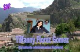 Curriculum Vitae Florez Tiffanny