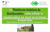 Presentación de la Plataforma Bioinformática de Andalucía.