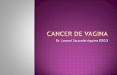 Cancer de vaginal leonel