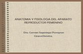 Anatomia y fisiologia del aparato reproductor femenino