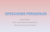 Infecciones perinatales  alma clarissa lara parra (1)