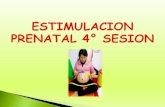 Estimulacion prenatal 4°_sesion