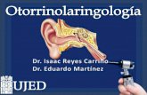 Otorrinolaringología Infecciones