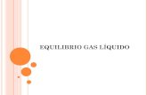 Equilibrio Gas Liquido