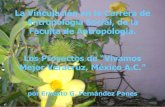La vinculación en la carrera de antropología social de Universidad Veracruzana