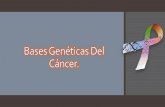 Bases geneticas del cancer