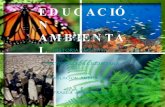 Gneralidades De E.A. Desde EcologíA Historia Etica ParticipacióN Ciudadana