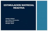 Estimulacion matricial reactiva