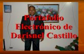 Portafolio de Castillo Darisnel