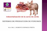 Industralizacion del cerdo