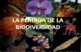 La pérdida de la biodiversidad