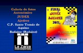 Final autonomico judex 2011