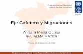 Eje cafetero y migraciones 2006
