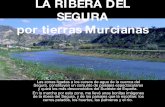 La Ribera Del Segura