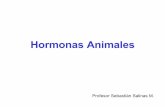 Hormonas Animales