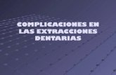 reparos anatomicos extracciones mandibula091025182315-phpapp01
