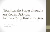 Técnicas de Supervivencia en Redes Ópticas: Protección y Restauración.