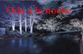 Oda A La Noche, Neruda Franco