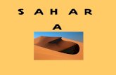 Historia del Sahara