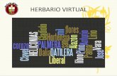 Herbario Virtual 2009 Nssc