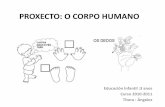 Proxecto CORPO HUMANO