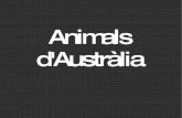 Presentacio Animals
