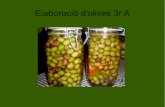 Elaboracio d'olives