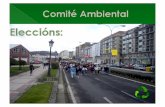 IES Nº1 de Ribeira presentacion comiteambiental 2010_2011