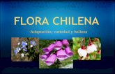 Flora chilena