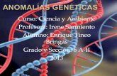 Anomalías genéticas