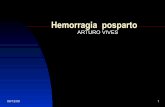 Hemorrgia  Posparto