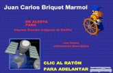 Juan Carlos Briquet Marmol - Vistas desde el espacio