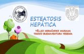 Esteatosis hepática final (higado graso)