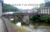 los suelos y la vegetación de España