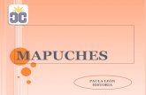 Mapuches blog