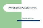 Patologia placentaria