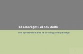 Llobregat Ecologia Paisatge R