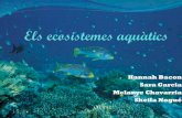 Ecosistemes aquàtics